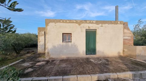Foto 5 de Finca rústica en venta en El Perelló, Tarragona
