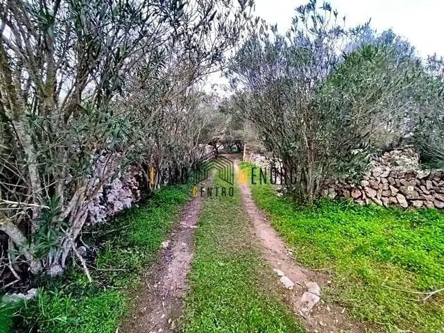 Landhaus mit Garten zum Verkauf in Cala Blanca, imagen 51