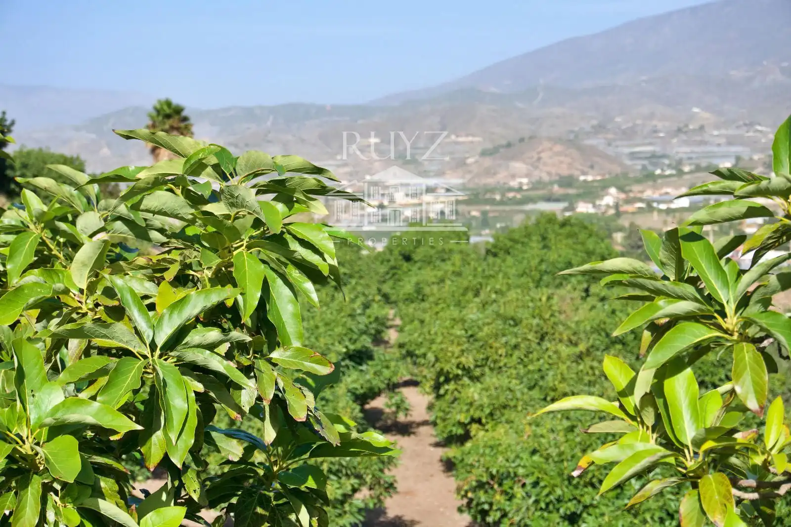 Terreni e lotti in vendita a Barranco del Inglés
