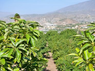 Terreno rustico in vendita a Barranco del Inglés