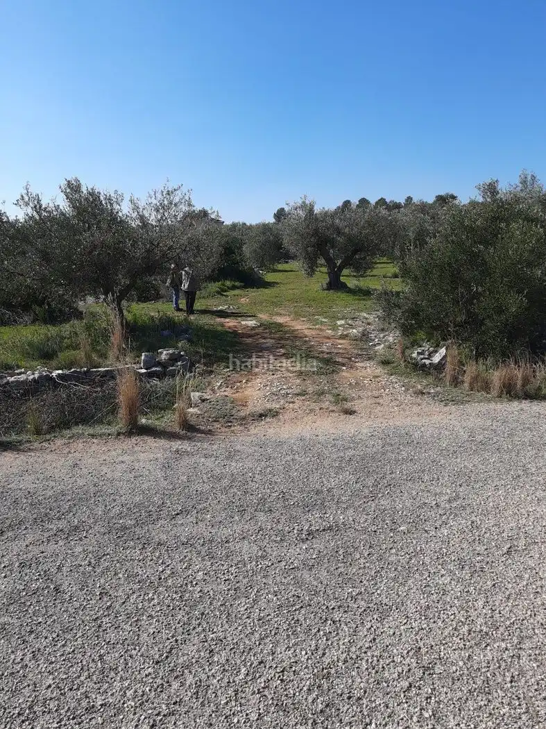 Rustikales Grundstück zum Verkauf in Diseminado Poligono 10 12B, imagen 3