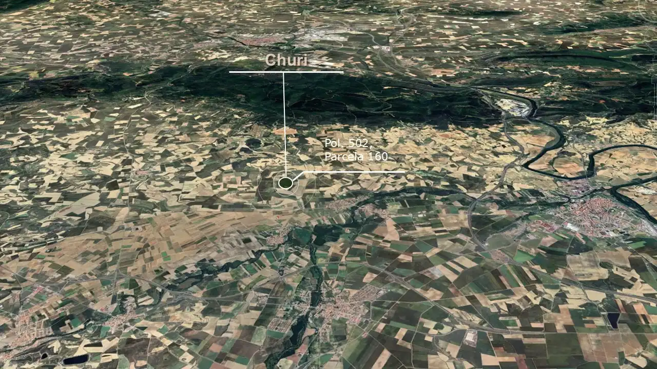 Terreny rústic en venda a C/ Paraje Las Raicillas- Las Peñuelas, imagen 4