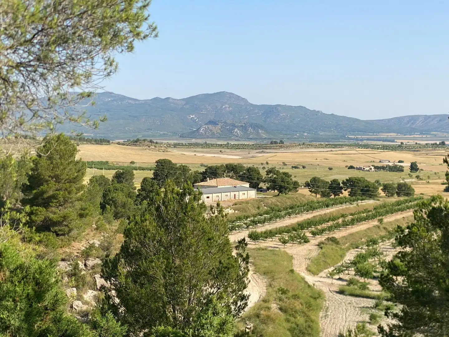 Villa à vendre à Moratalla, imagen 94