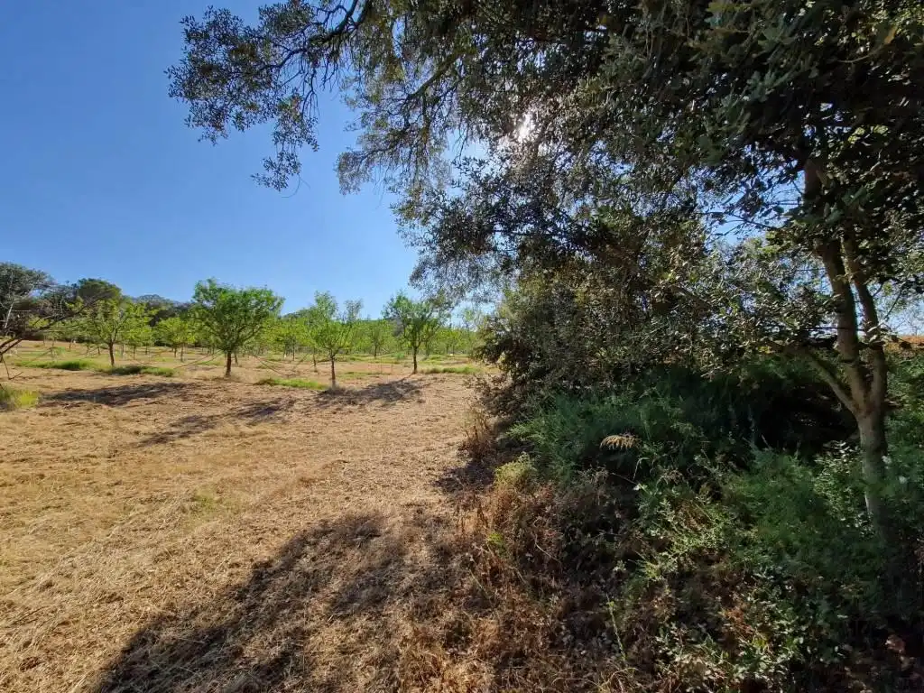 Terreno en venta en Binaced
