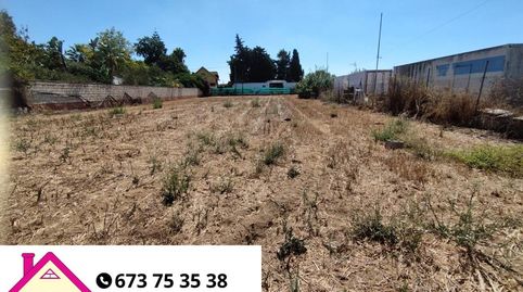ESTUPENDA  PARCELA  EN LA JARA.
