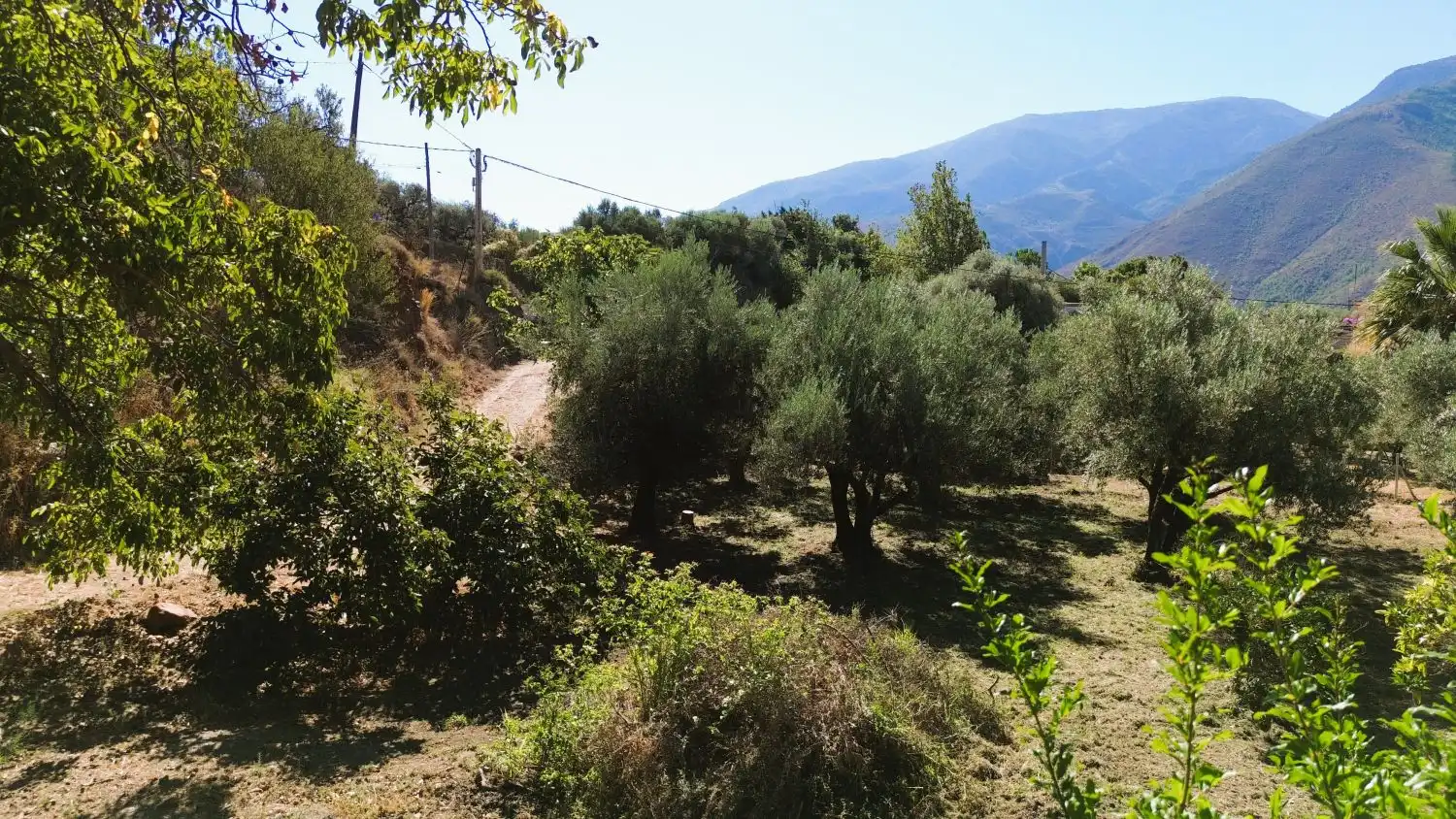 Houses for sale in Órgiva, Granada