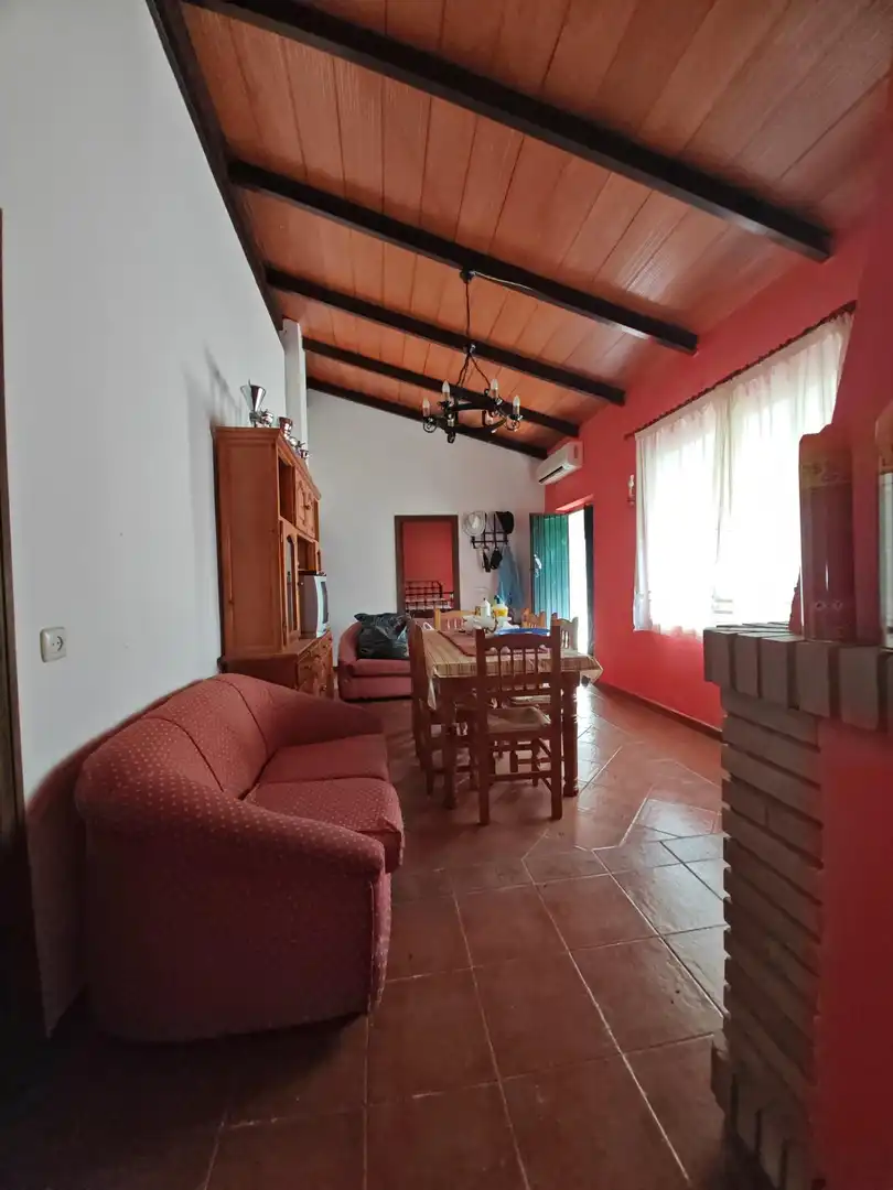 Sala de estar de Casa o chalet en venta en Hornachos con Jardín privado y Terraza