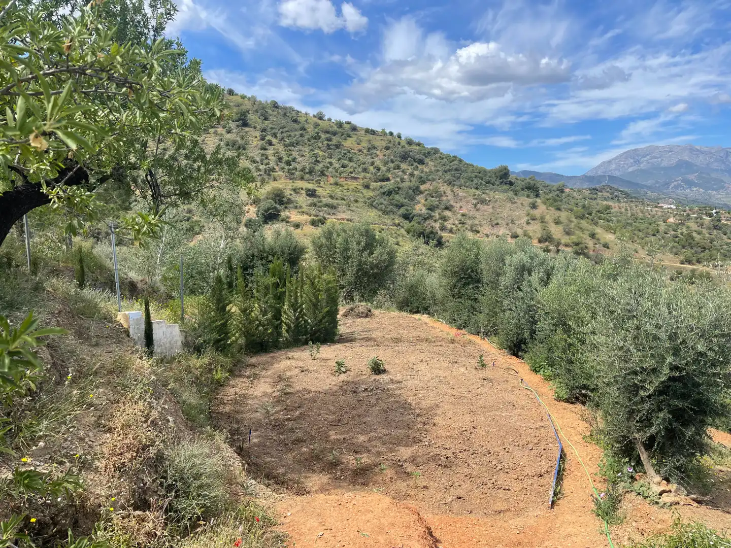 Terreno en venta en Guaro