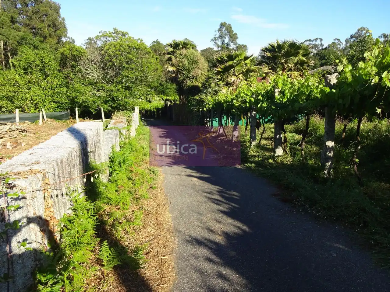 Lands and plots for sale in Salceda de Caselas, imagen 5