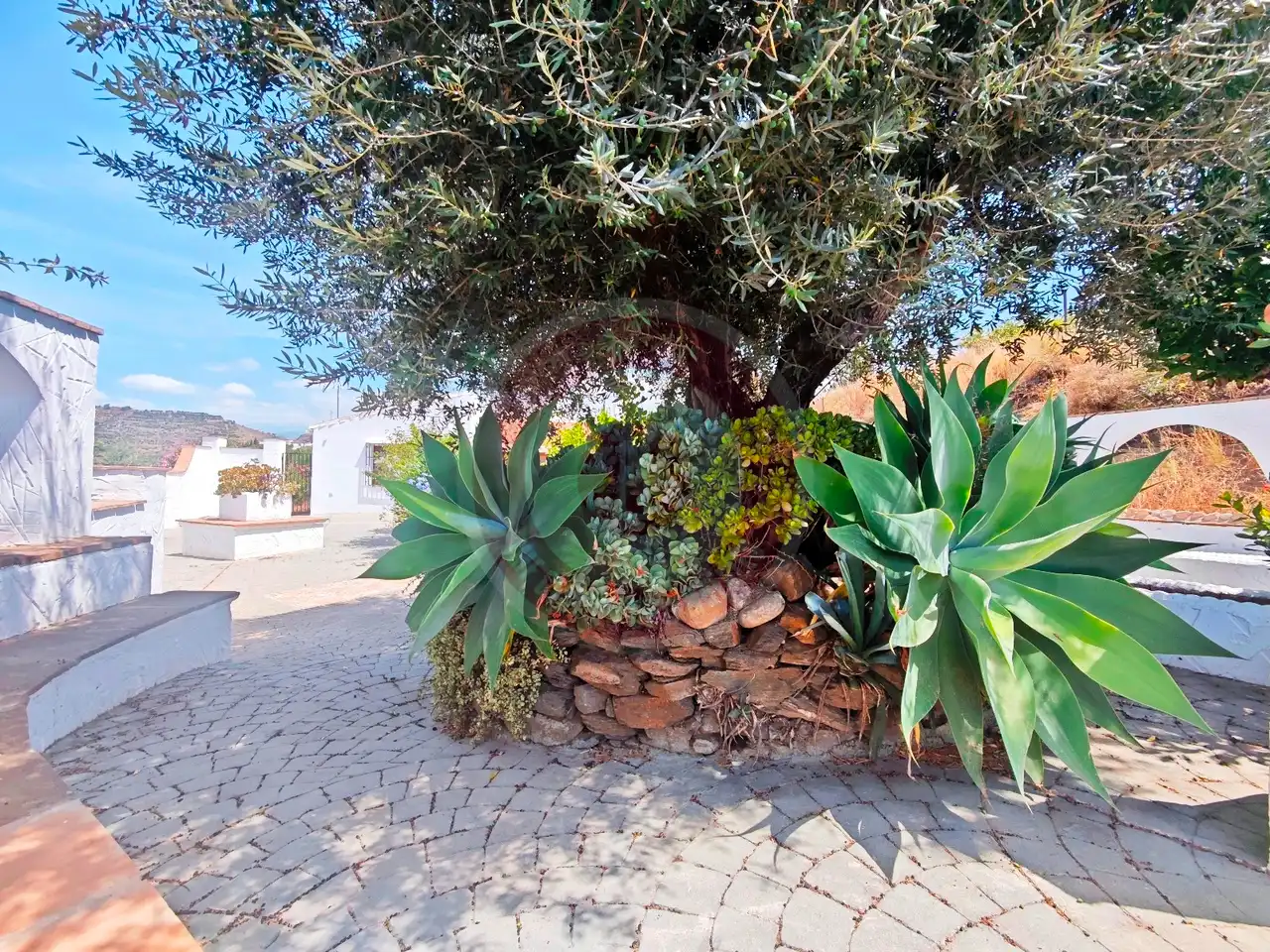 Garden of Houses for sale in Viñuela  with Private garden, Terrace and Swimming Pool