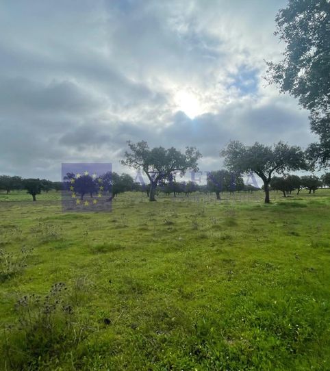 Foto 2 de Casa o chalet en venta en Trujillo, Cáceres