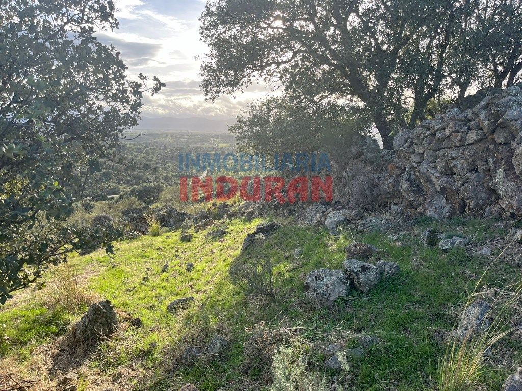 House or chalet for sale in Villar del Pedroso