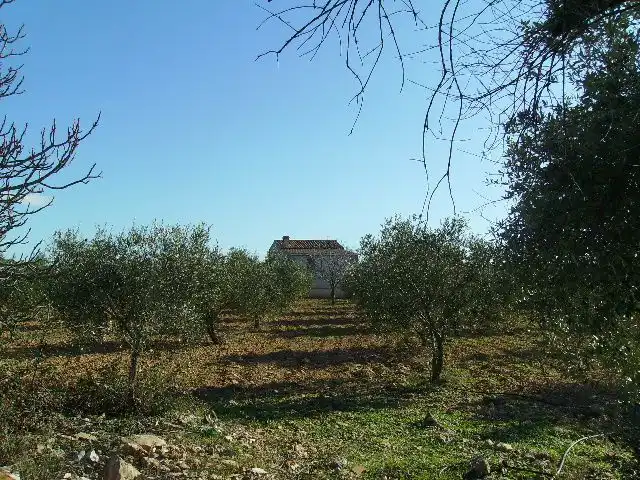 Land for sale in Vila-rodona