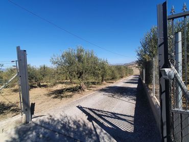 Terreni e lotti in vendita a El Cigarral - Dehesa - Borrajo