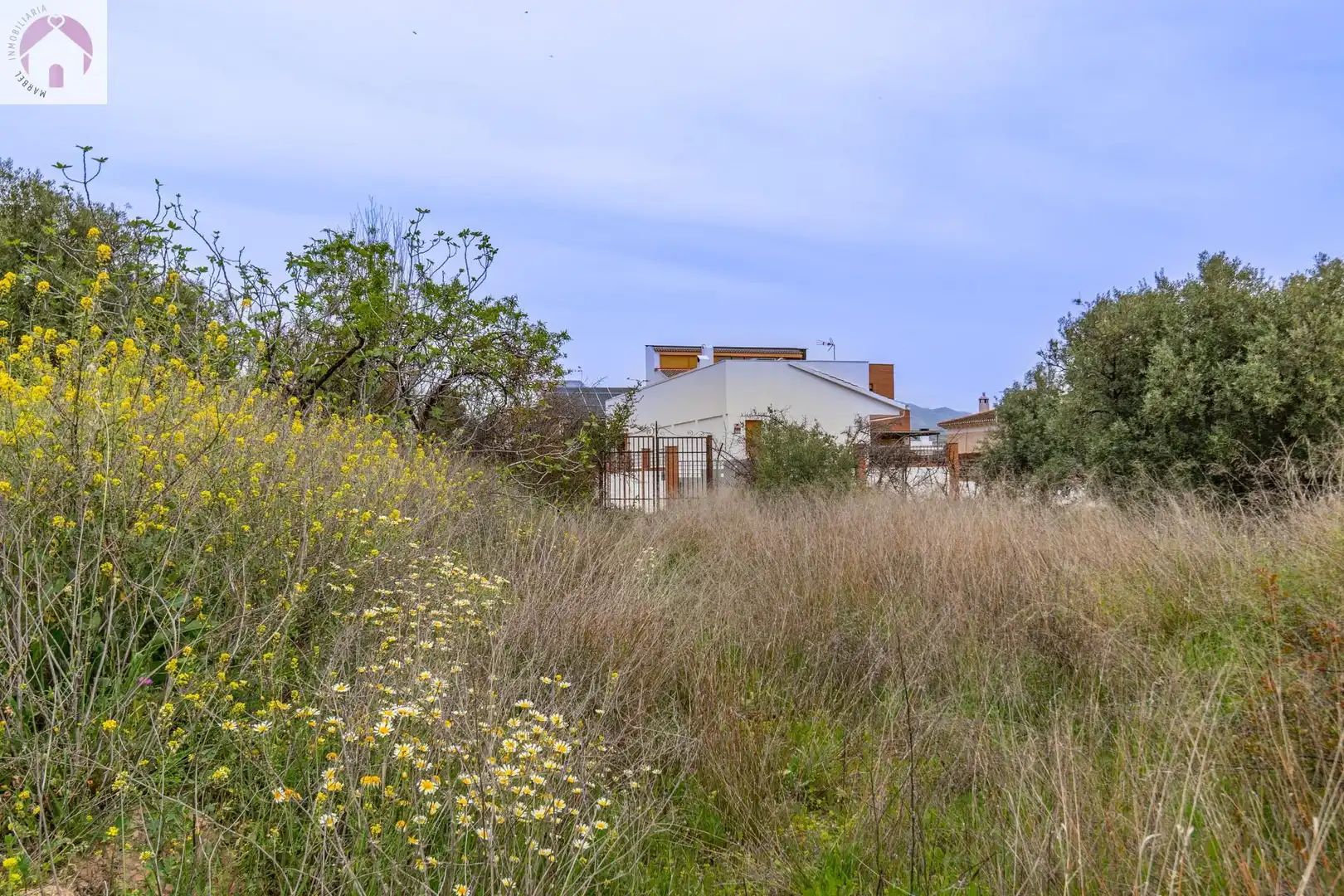 Terreno residencial en venta en El Torreón - Cortijo Pretel, imagen 5