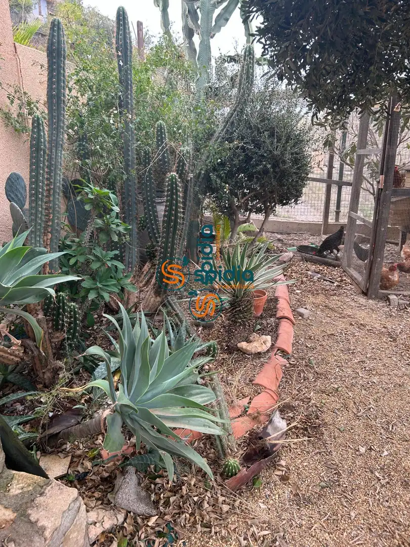 Jardín de Casa o chalet en venta en Águilas con Calefacción, Jardín privado y Terraza