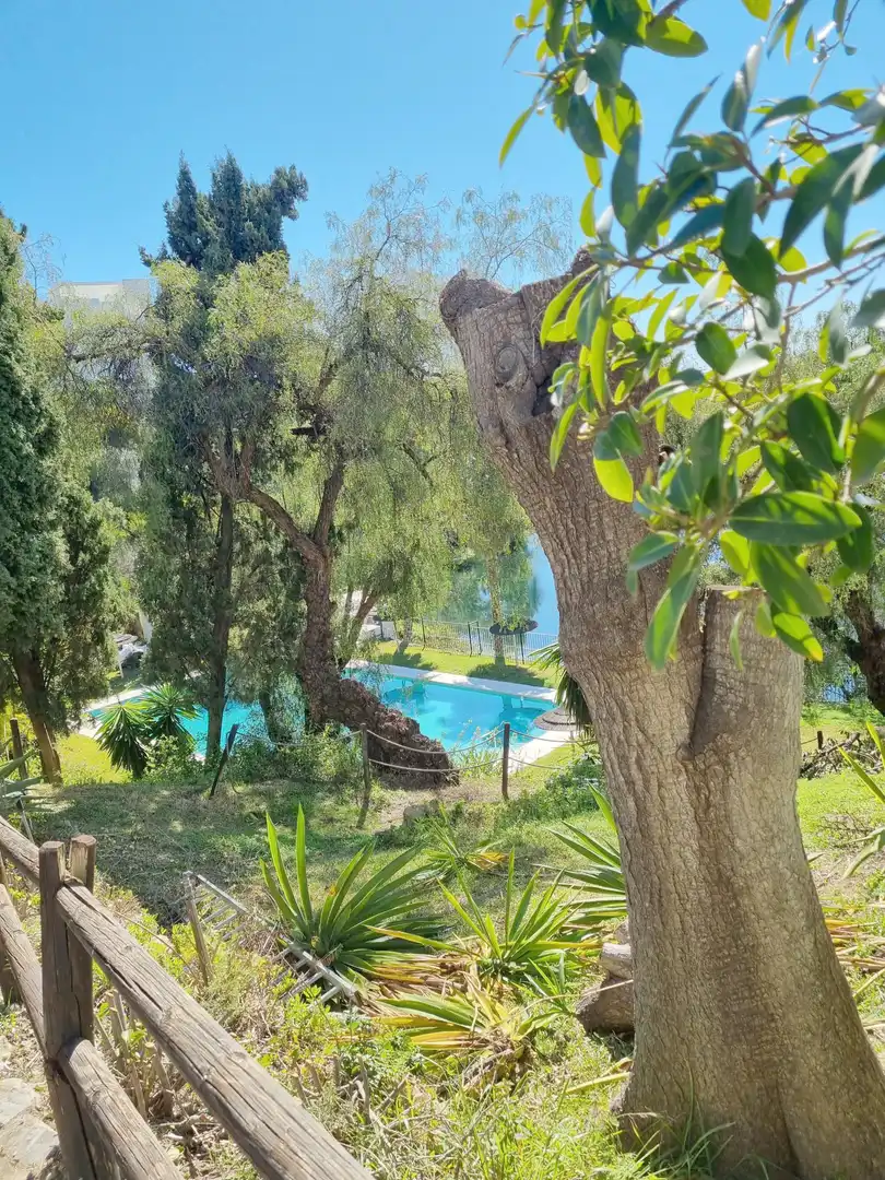 Schwimmbecken von Wohnungen zum Verkauf in Benahavís mit Klimaanlage, Terrasse und Schwimmbad