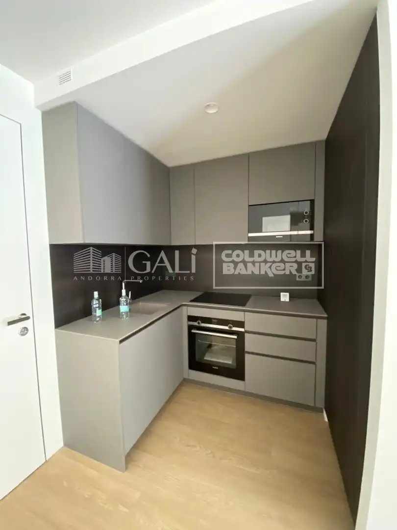 2-bedroom flat for rent in Andorra la Vella · 19 of 58