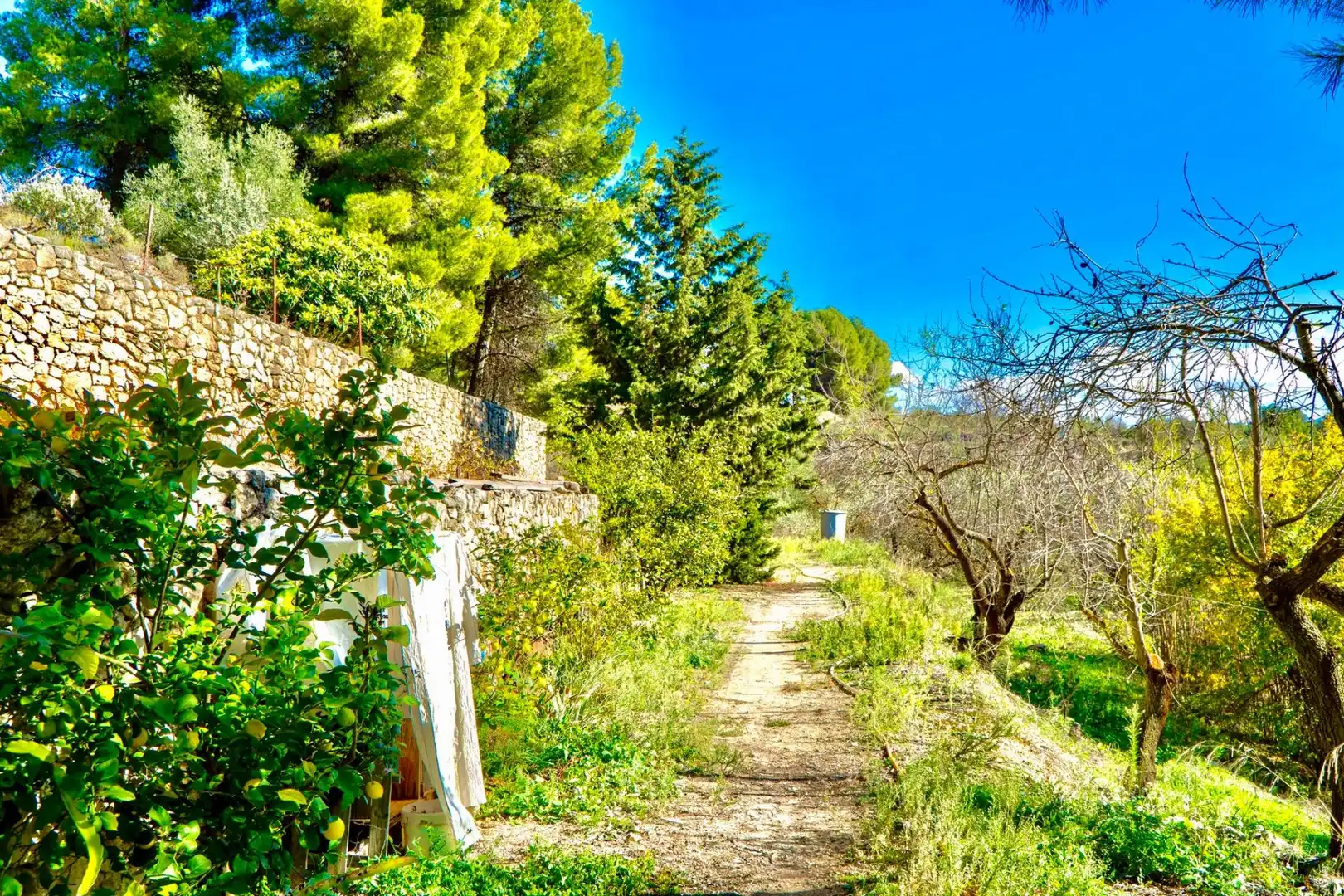 Garden of Houses for sale in Cocentaina  with Heating, Private garden and Parquet flooring