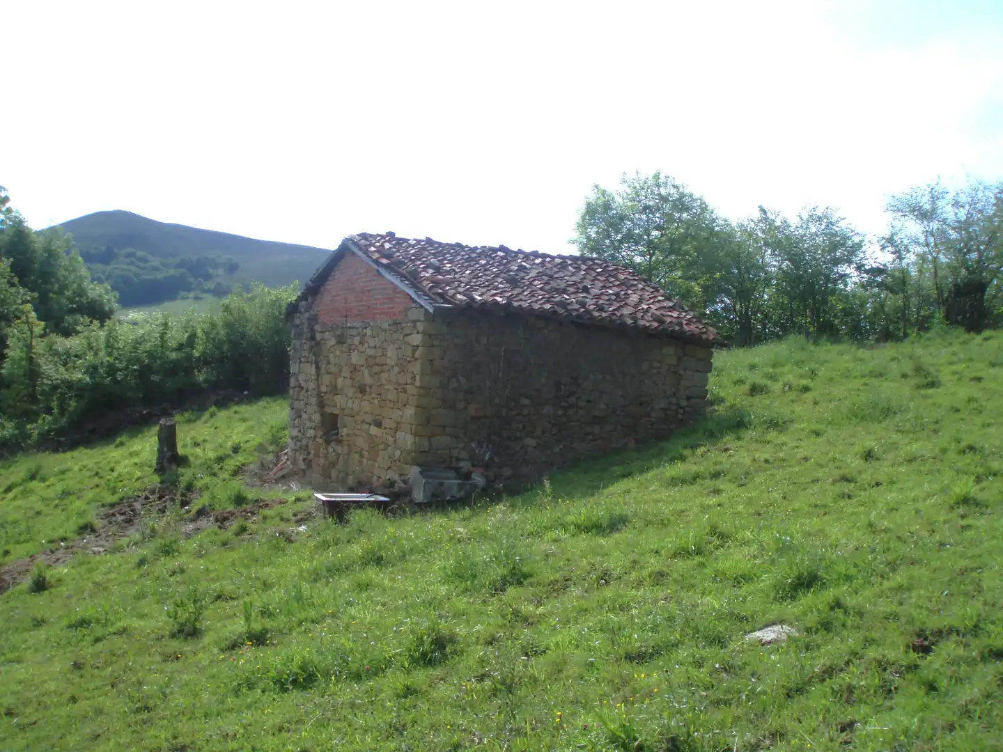 Terreny rústic en venda a Grado, imagen 11