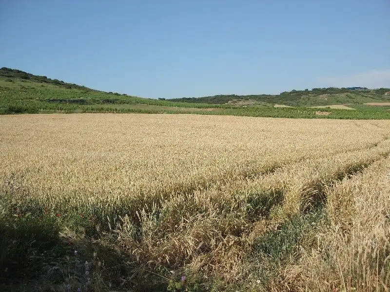 Terreny rústic en venda a Villamediana de Iregua, imagen 3