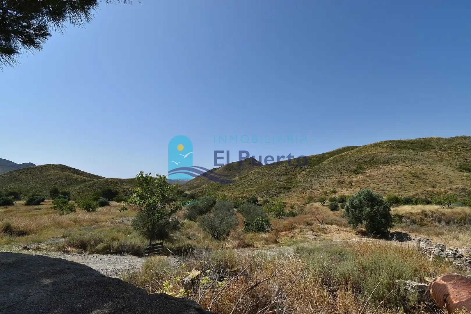 Country homes for sale in Lorca
