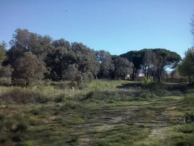 Residential land for sale in Urbanización Sotogrande 3