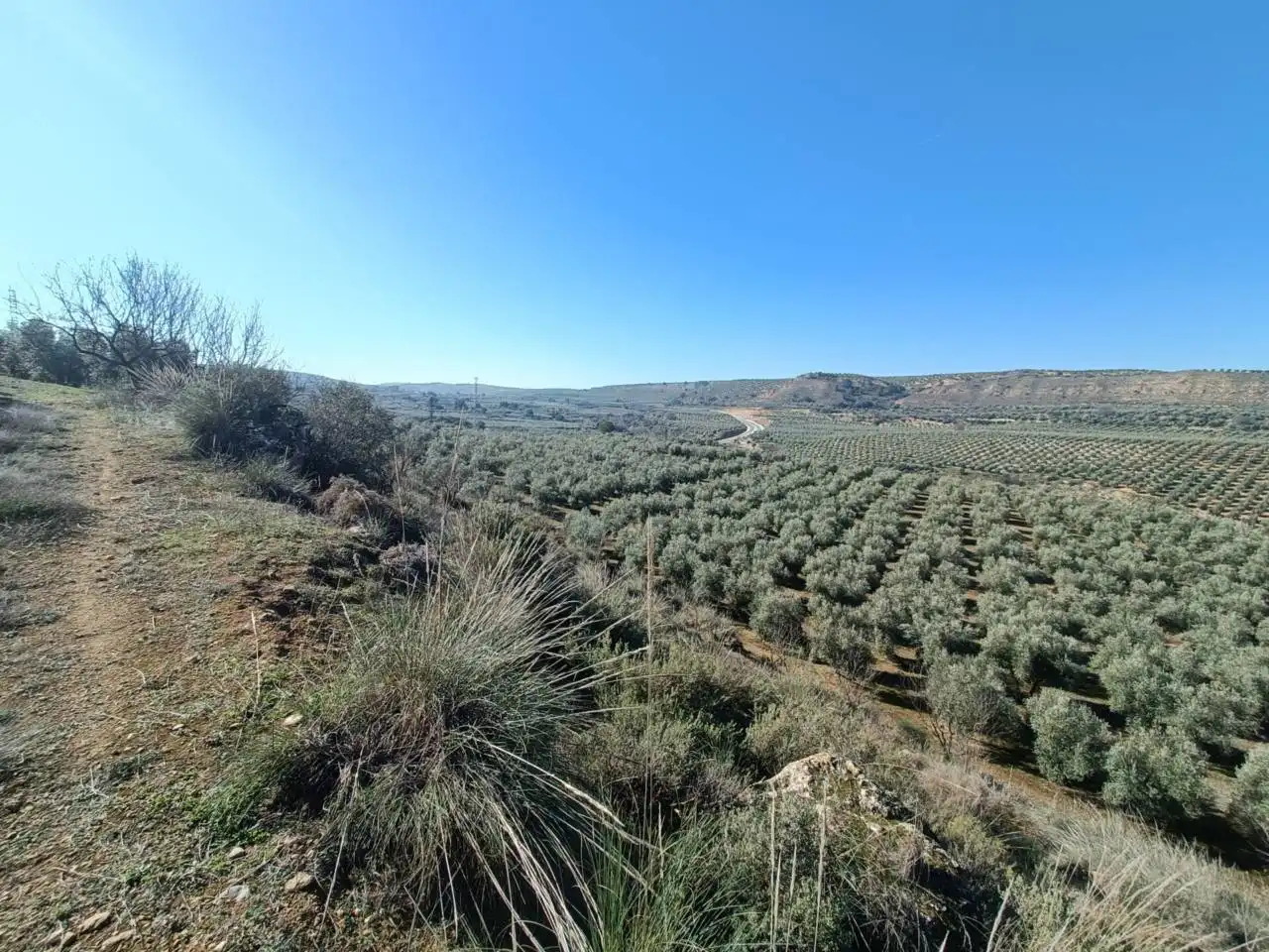 Terreni e lotti in vendita a Moraleda de Zafayona, imagen 18