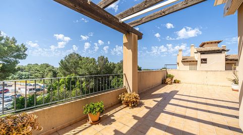 Photo 3 of Attic for sale in Tord, Maioris-Puig de Ros, Llucmajor