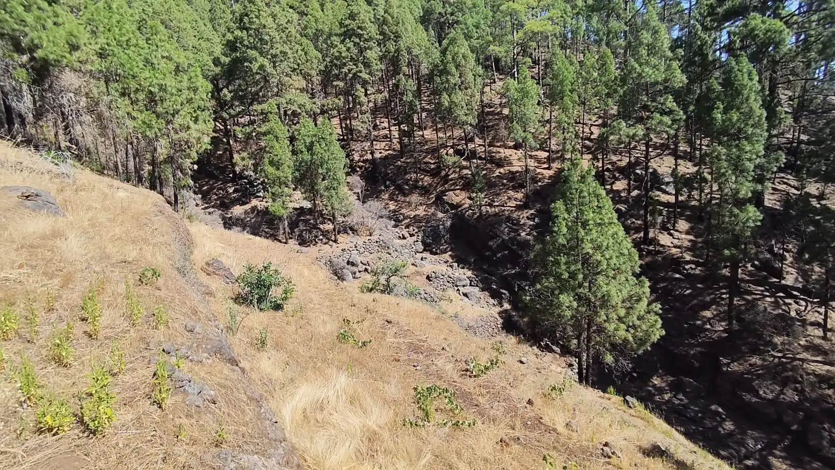 Rural land for sale in Machado - Las Barreras, imagen 11