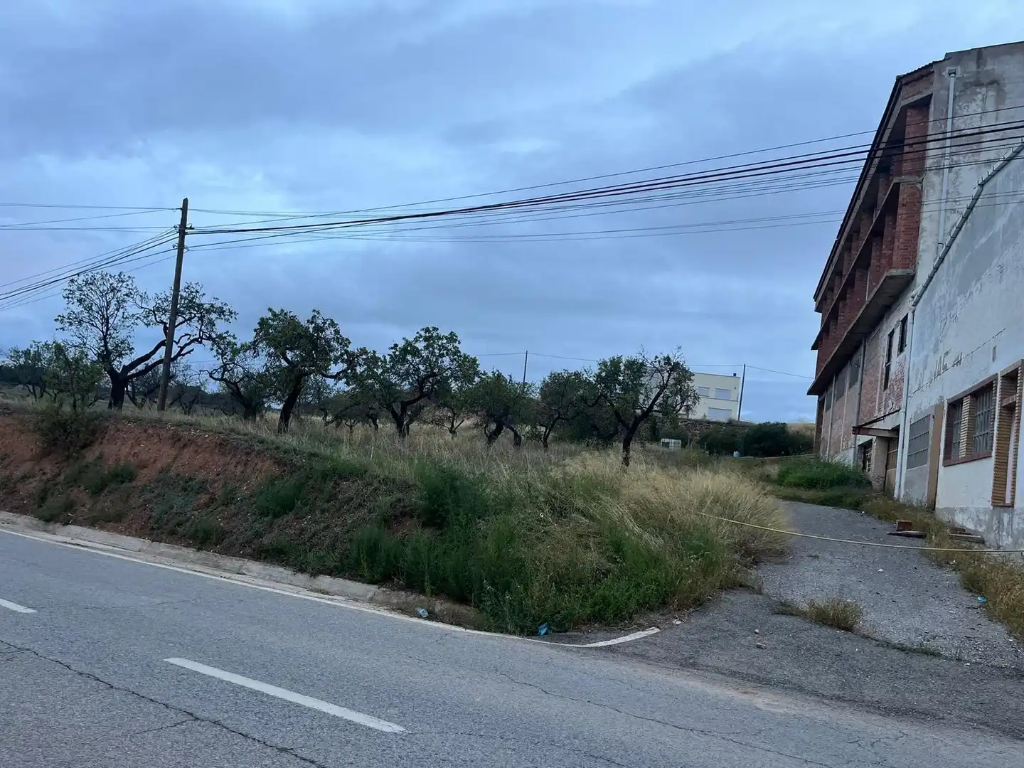 Terreno residencial en venta en Sarral, imagen 4