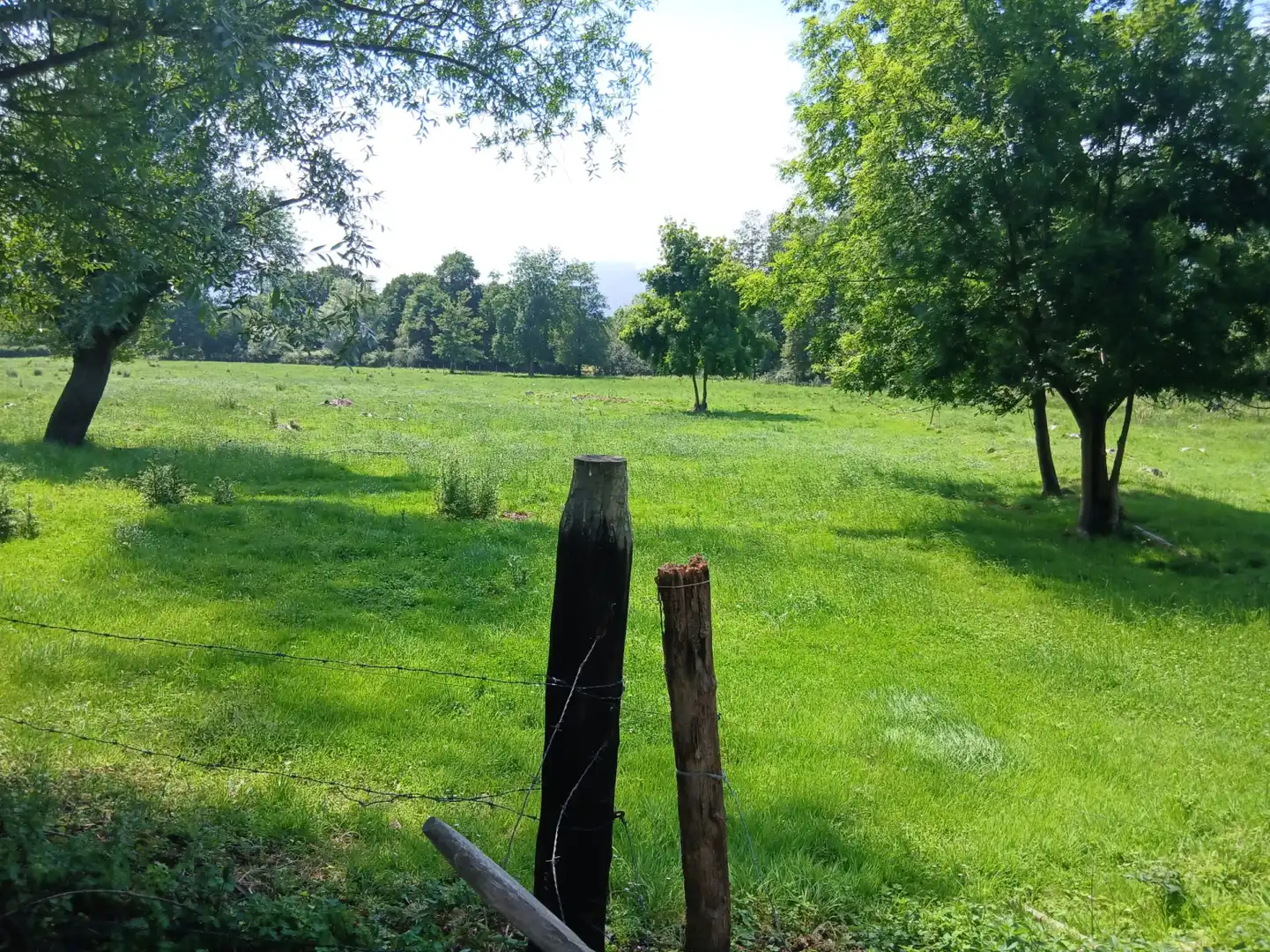 Terreni e lotti in vendita a San Felices de Buelna, imagen 3