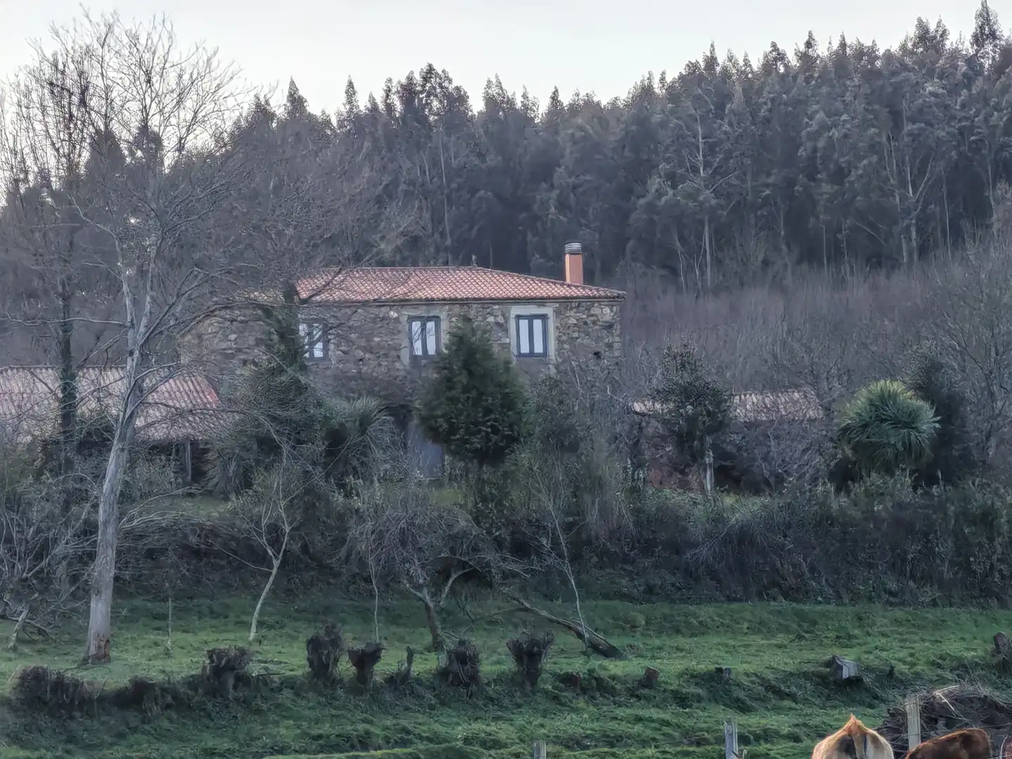 Vista exterior de Casa o chalet en venta en Santiso con Jardín privado, Trastero y Horno