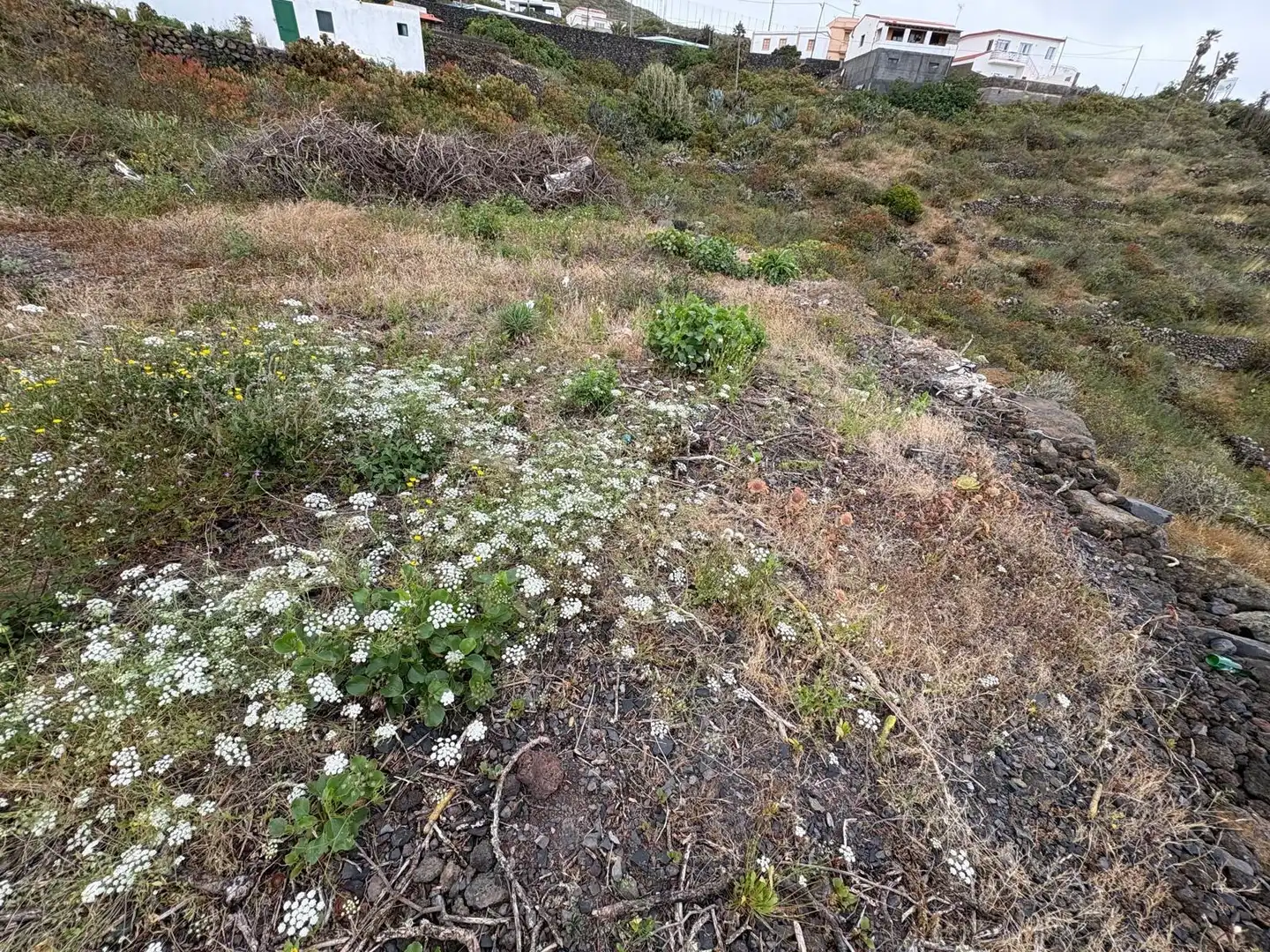 Terrain résidentiel à vendre à Valverde (Santa Cruz de Tenerife), imagen 6