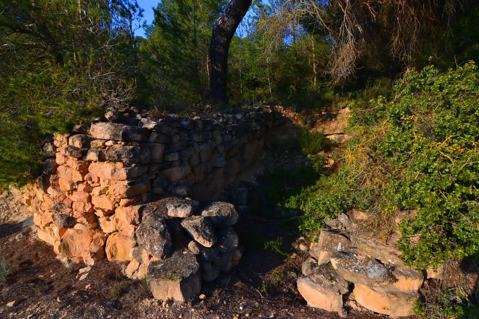 Rural land for sale in Corbera d'Ebre, imagen 15