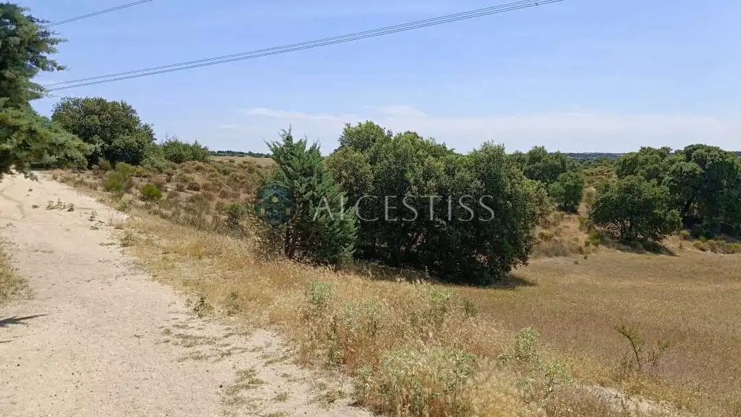 Land for sale in Méntrida