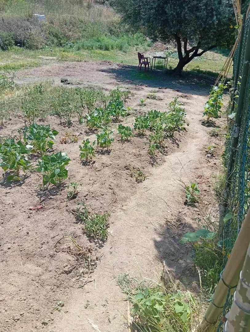 Terreno en venta en Calella