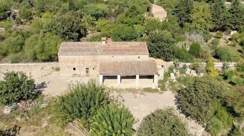 Foto 5 de Finca rústica en venda a Ciutat d'Alcúdia, Alcúdia