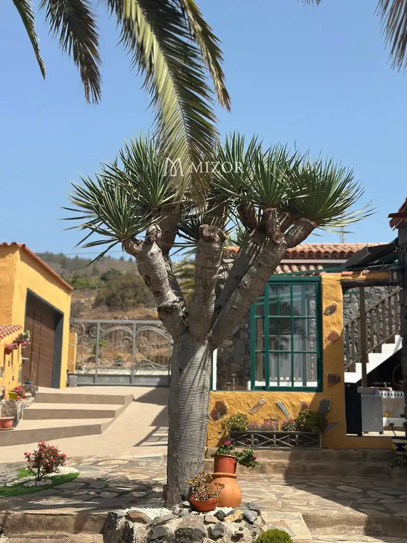Casa en venta en subida de Vera de Erques, imagen 131