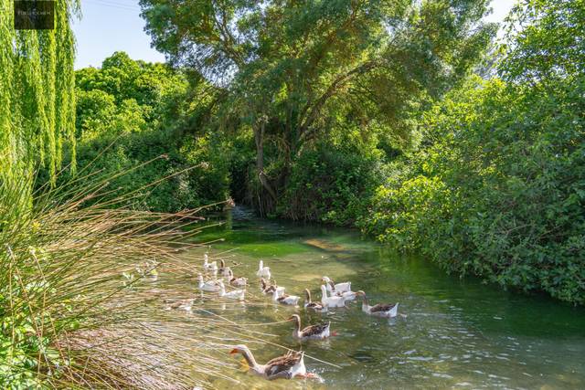 Casa-chalet en Venta en Calle NACIMIENTO (RF), 14 en Loja
