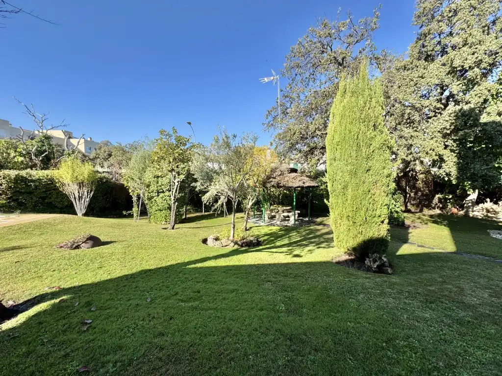 Jardín de Casa o chalet en venta en Algete