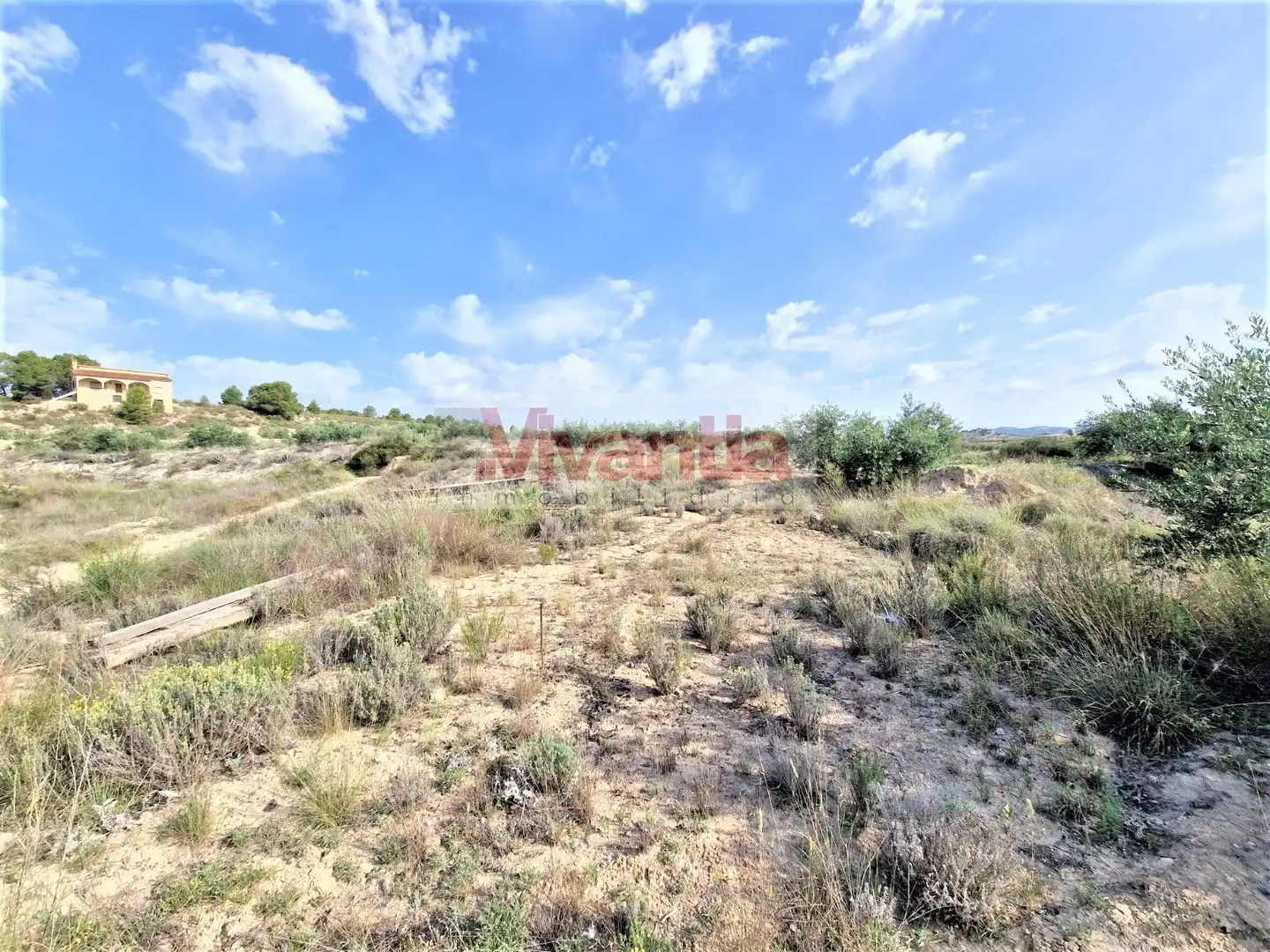 Casa o chalet en venta en Lorca