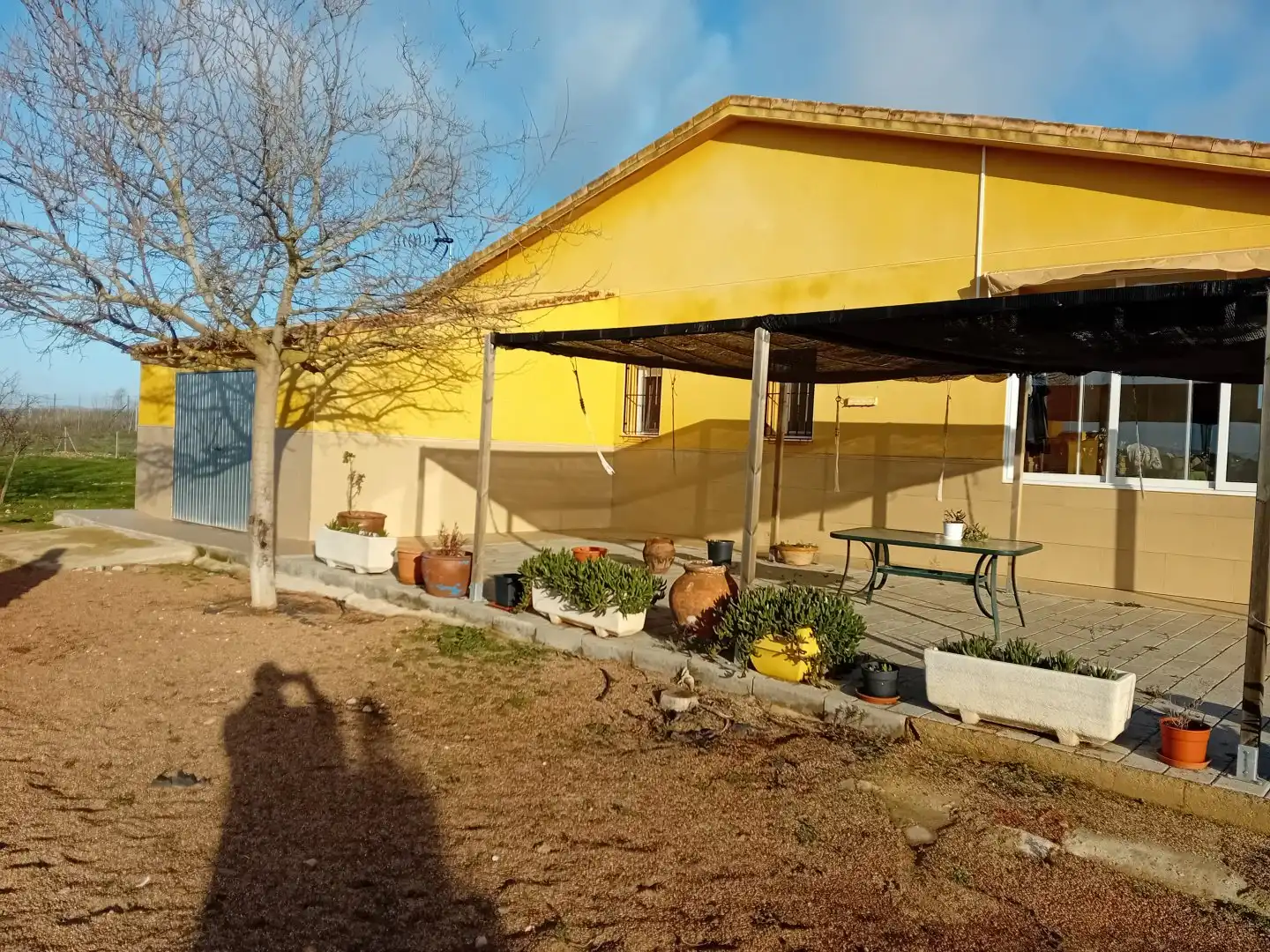Jardín de Casa o chalet en venta en Carrión de Calatrava con Aire acondicionado, Calefacción y Terraza
