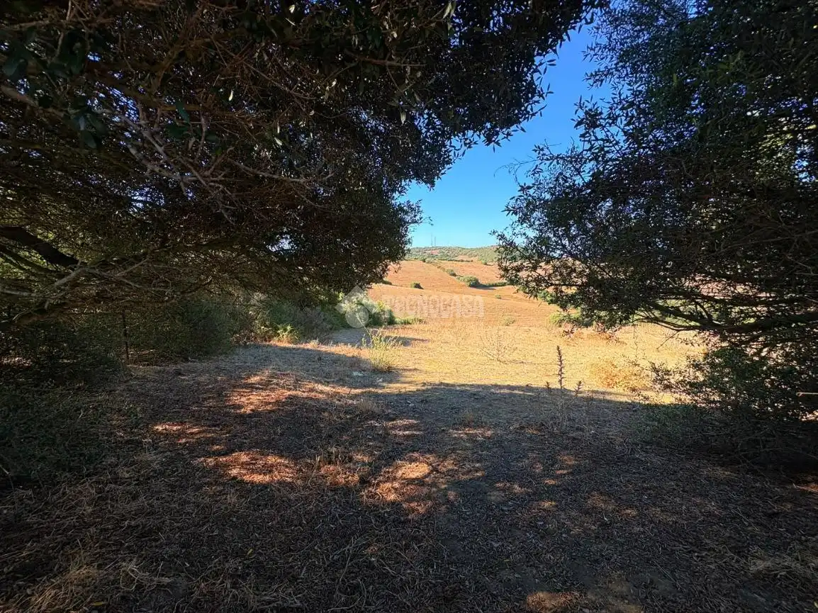 Terreno rustico in vendita a Vejer, imagen 25