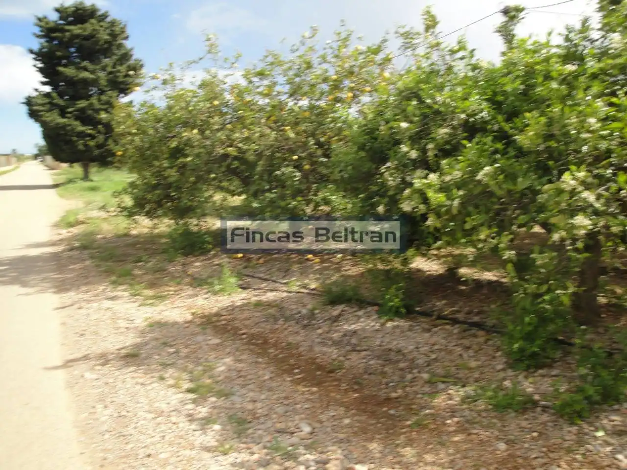 Rural land for sale in Poligono 18, PARCELA 153, imagen 3