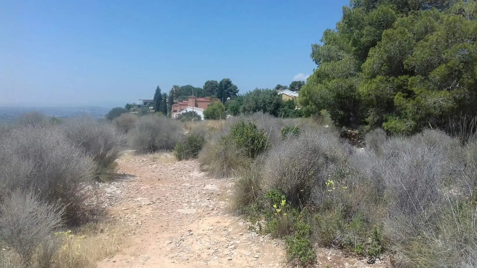 Terrain rustique à vendre à C/ Manuel Siurut, imagen 8