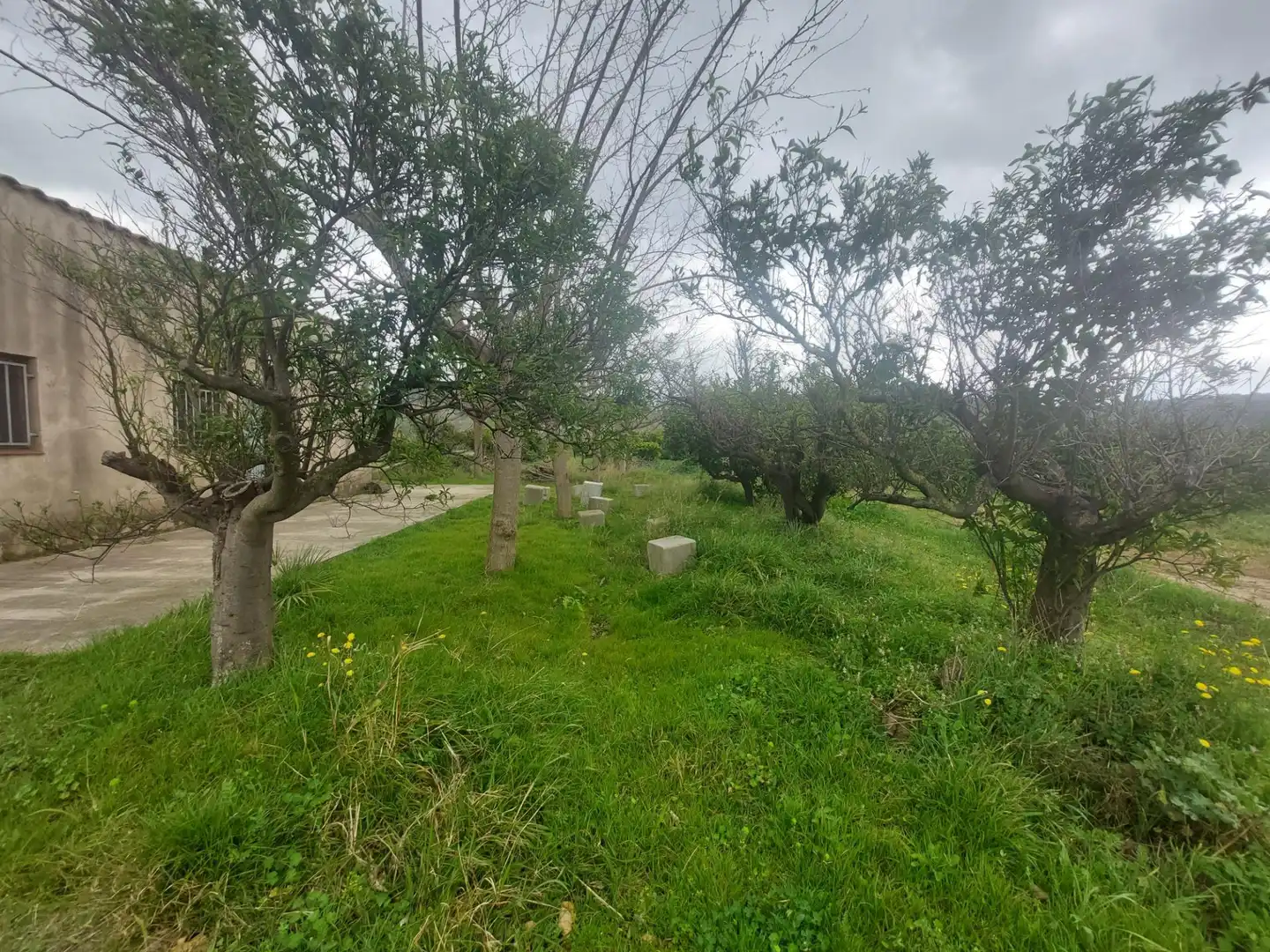 Finca rústica en venda en Xerta amb Calefacció