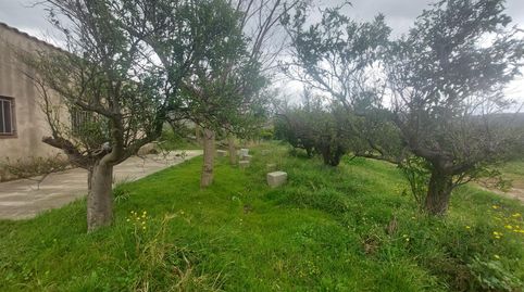 Foto 3 de Finca rústica en venda a Xerta, Xerta, Tarragona