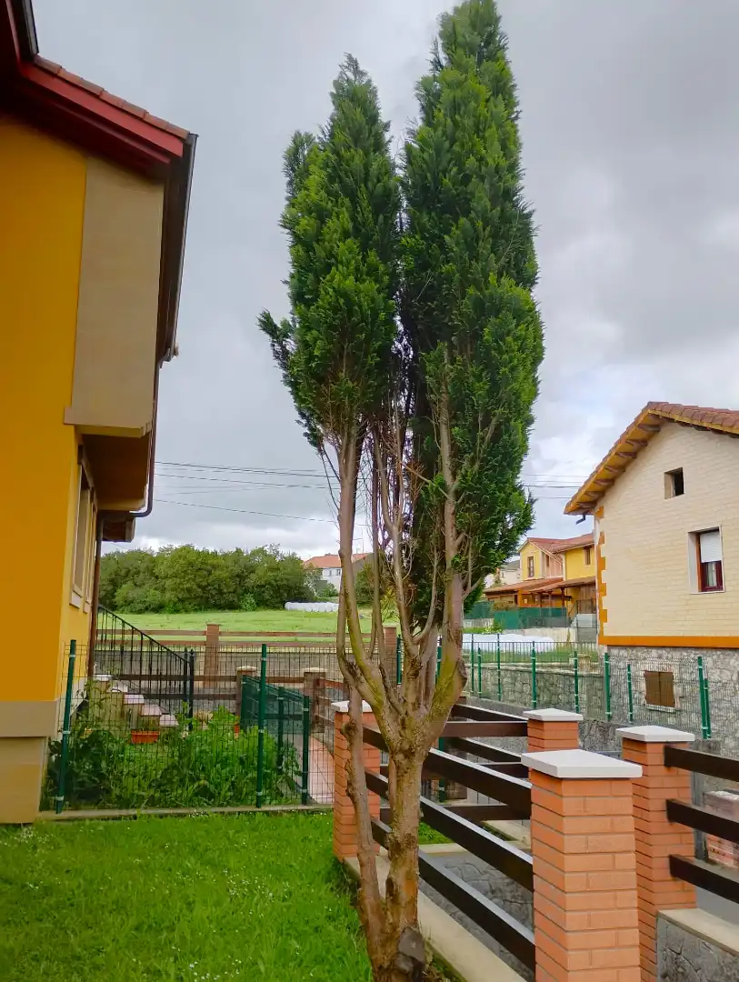 Garden of Houses for sale in Noja  with Heating, Private garden and Terrace