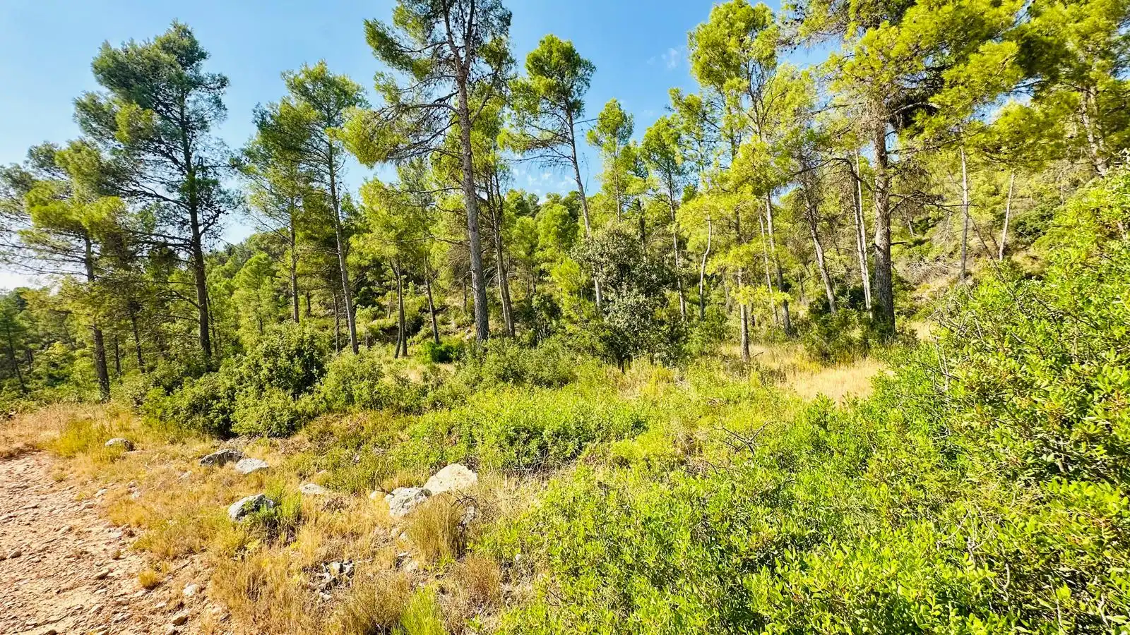 Terreno rustico in vendita a Lledó, imagen 9
